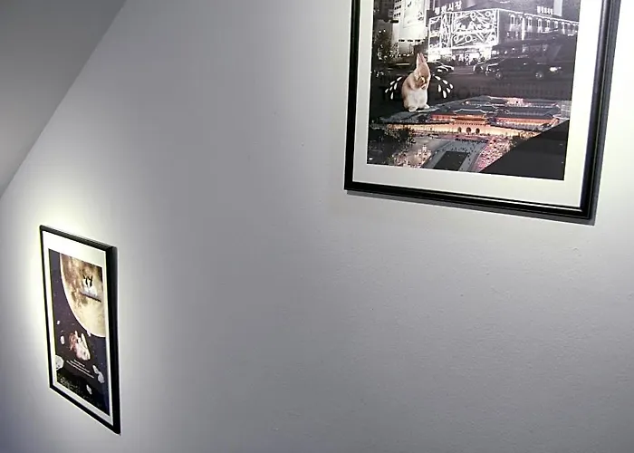 Hostal Dalbit Dongdaemun Seúl